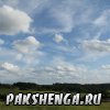 pakshenga_2011_49_ 